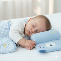 Baby Shaping Head Support Pillow - Assorted Colour